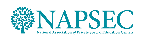 NAPSEC Logo