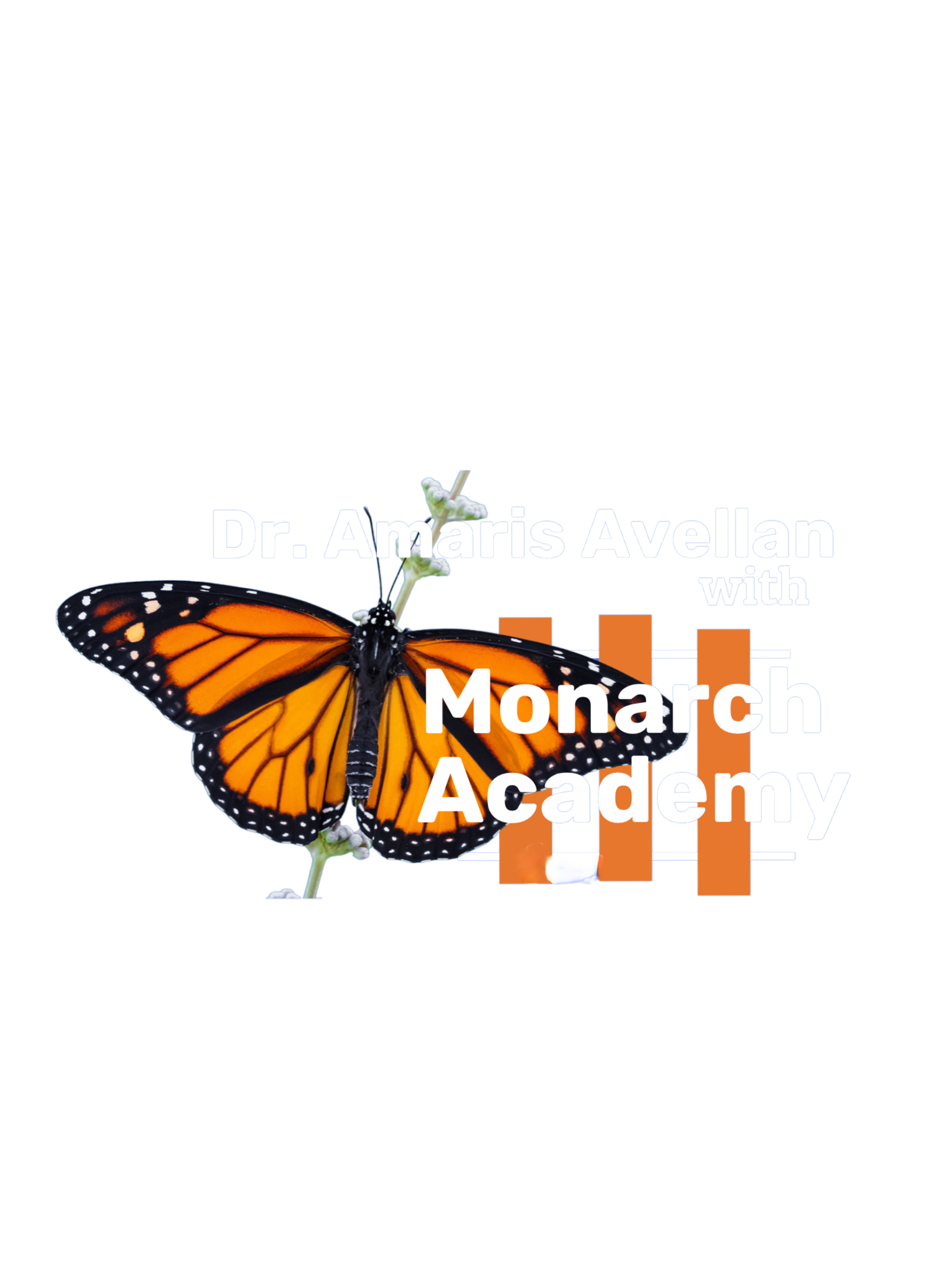 Monarch Academy Logo