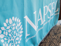NAPSEC Registration